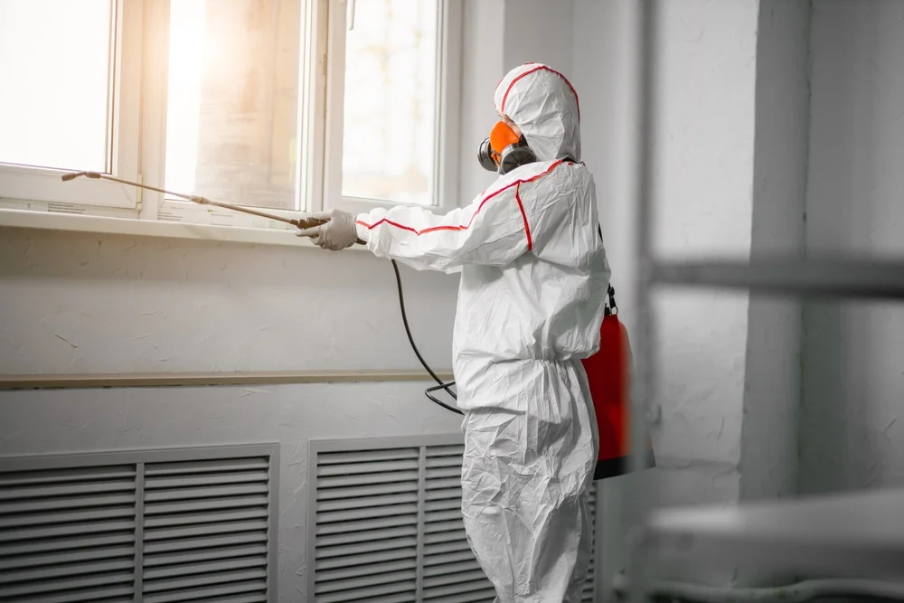 Professional mold remediation services in Forked River, NJ